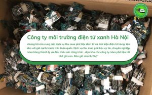 Đấu thầu thanh lý nhà xưởng công trình